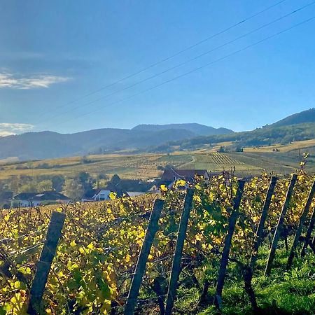 Le Grasberg Daire Bergheim Dış mekan fotoğraf